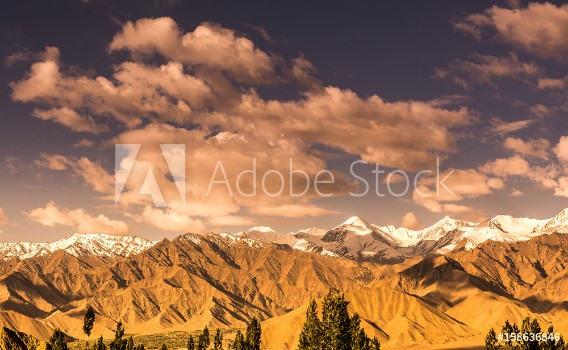 Picture of Landscape of Leh Ladakh North of India
